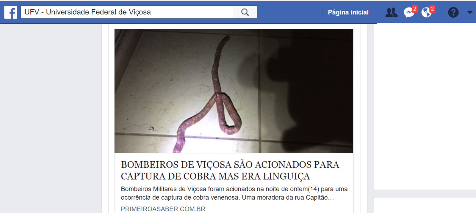 Mulher confunde linguiça com cobra e pede socorro aos bombeiros em MG