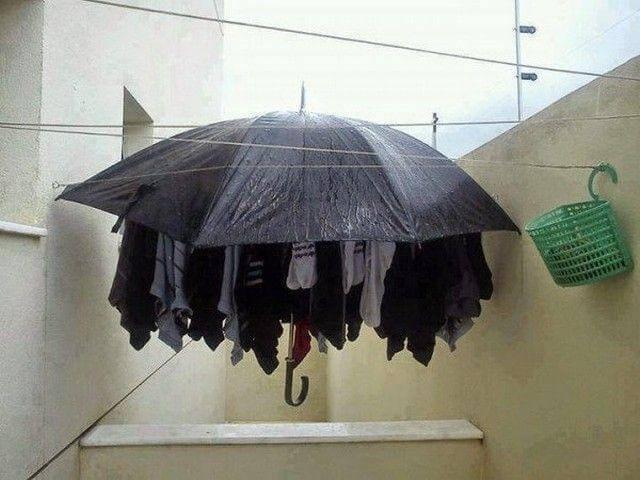 Fotos Que Provam Que o Brasileiro Precisa Ser Estudado