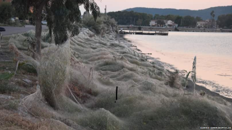 Teia de aranha gigantesca com mais de 300 metros cobre praia na Grécia
