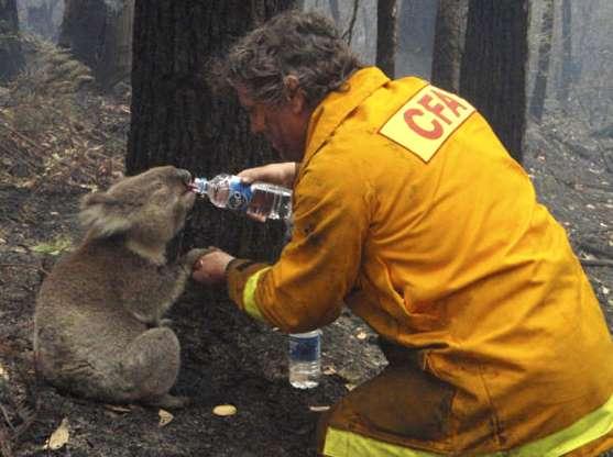 Fotos solidárias que ajudam a crer na humanidade