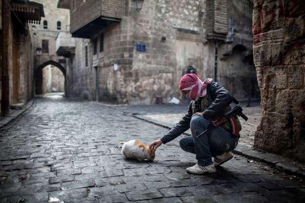 Fotos solidárias que ajudam a crer na humanidade