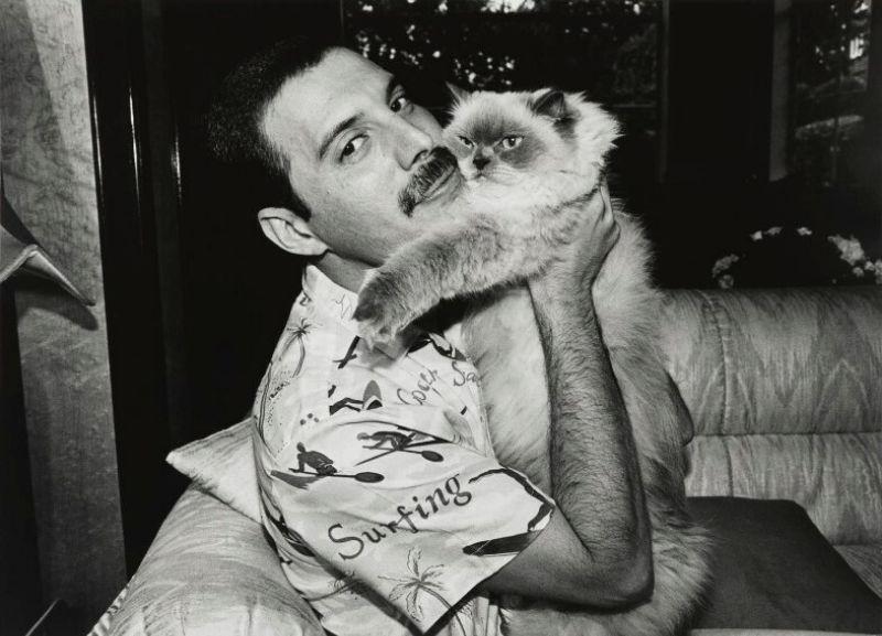 FREDDIE MERCURY