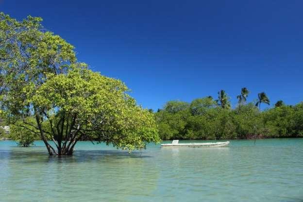 20 praias brasileiras que parecem piscinas