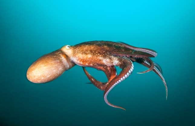 Segredos do Triângulo das Bermudas revelados