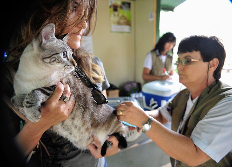 Adoção e abandono de animais domésticos aumentam durante a pandemia