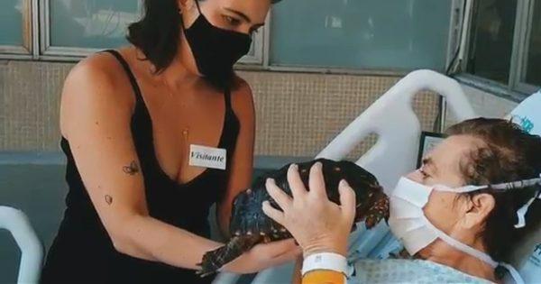 Mulher internada em UTI melhora após visita de jabuti de estimação