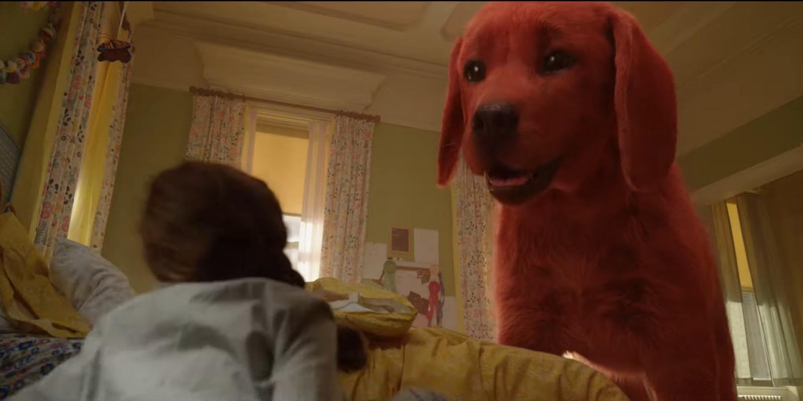 Cine Clube - “Clifford – O Gigante Cão Vermelho”