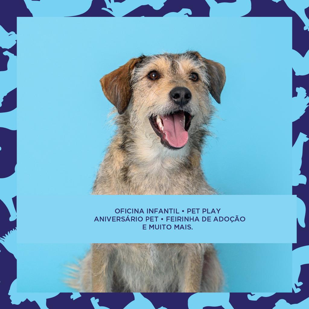 Shopping Iguatemi São José do Rio Preto promove o 1° Pet Day com atrações para animais de estimação e seus donos