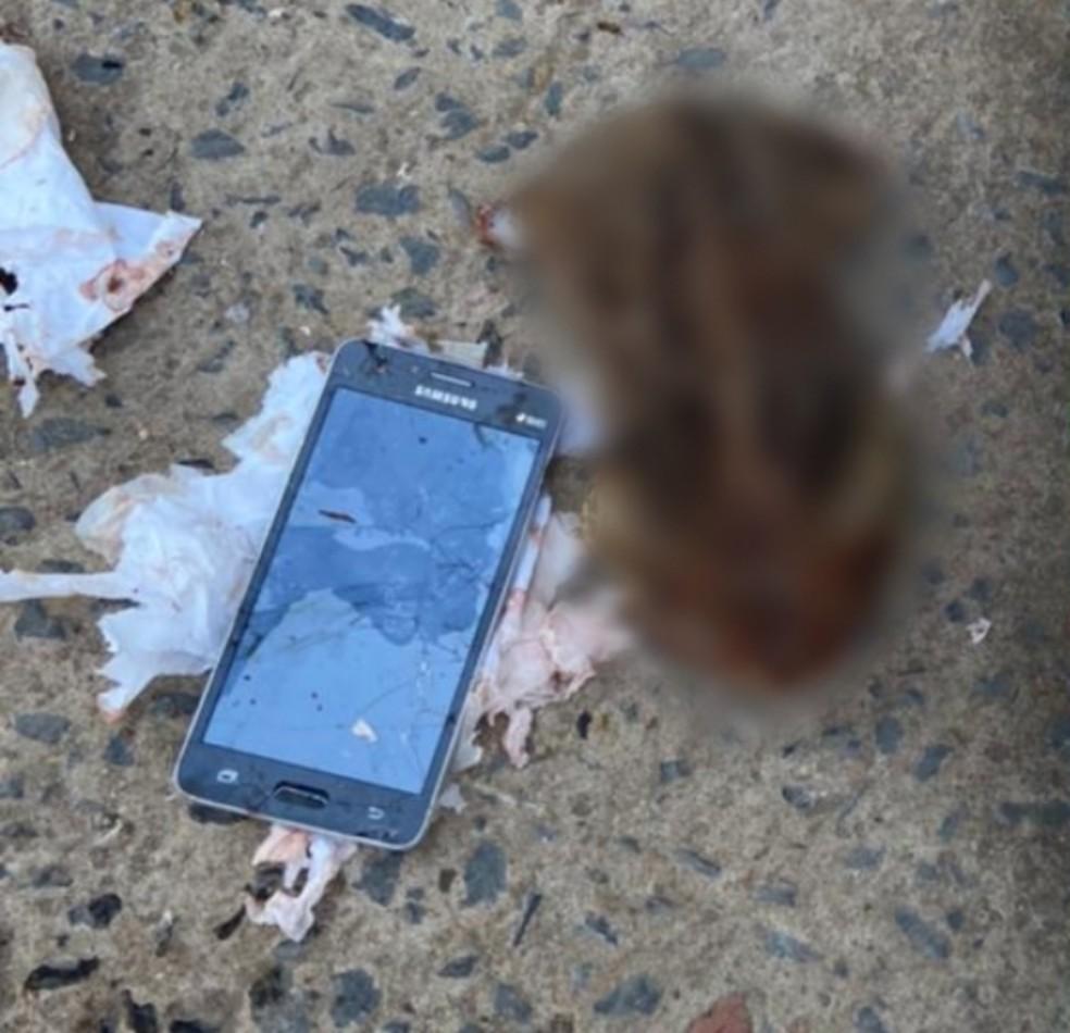 Celular é encontrado dentro de um sapo em presídio de Minas Gerais