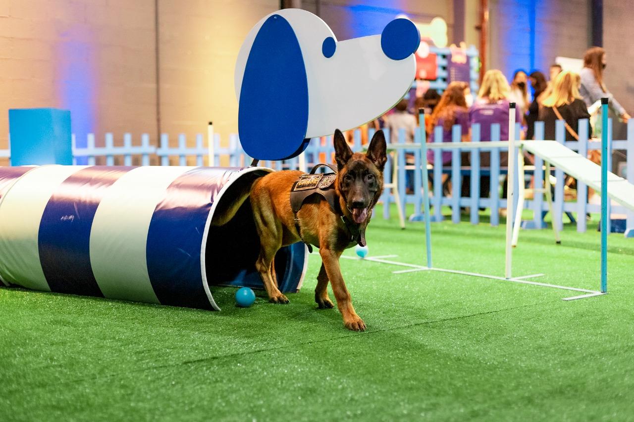 Iguatemi Rio Preto realiza a segunda edição do Pet Day