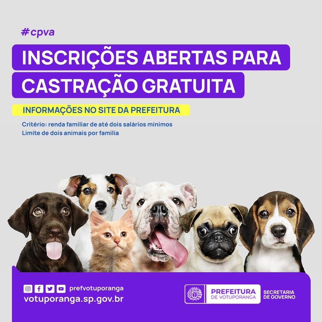 Votuporanga abre inscrições para castração de cães e gatos