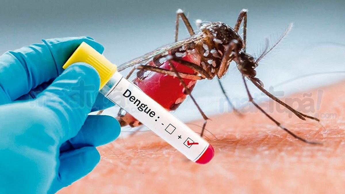 Casos de dengue crescem 35,4% no primeiro bimestre de 2022 no Brasil