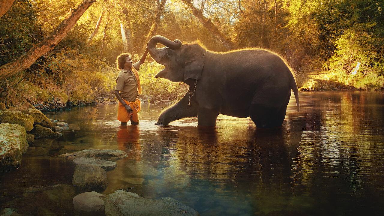 #CineClube - Oscar 2023: "Tudo em Todo Lugar" leva título de melhor filme e 7 estatuetas 