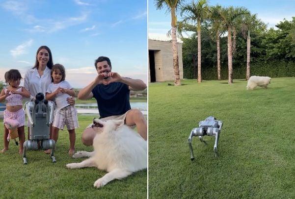 Alok Apresenta Novo Integrante da Família: Um Cachorro Robô